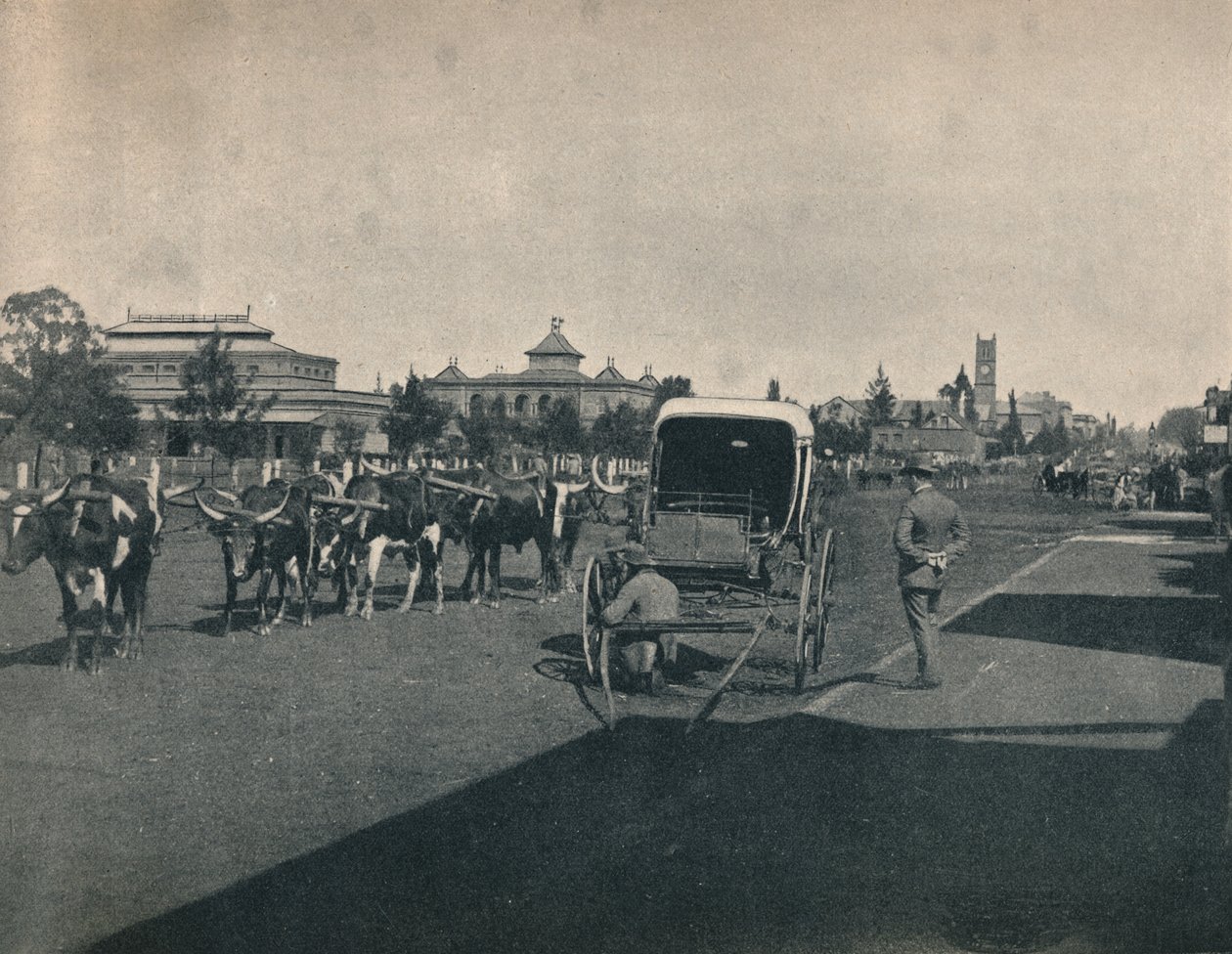 بيترماريتسبورج ، c1900. بواسطة غير معروف