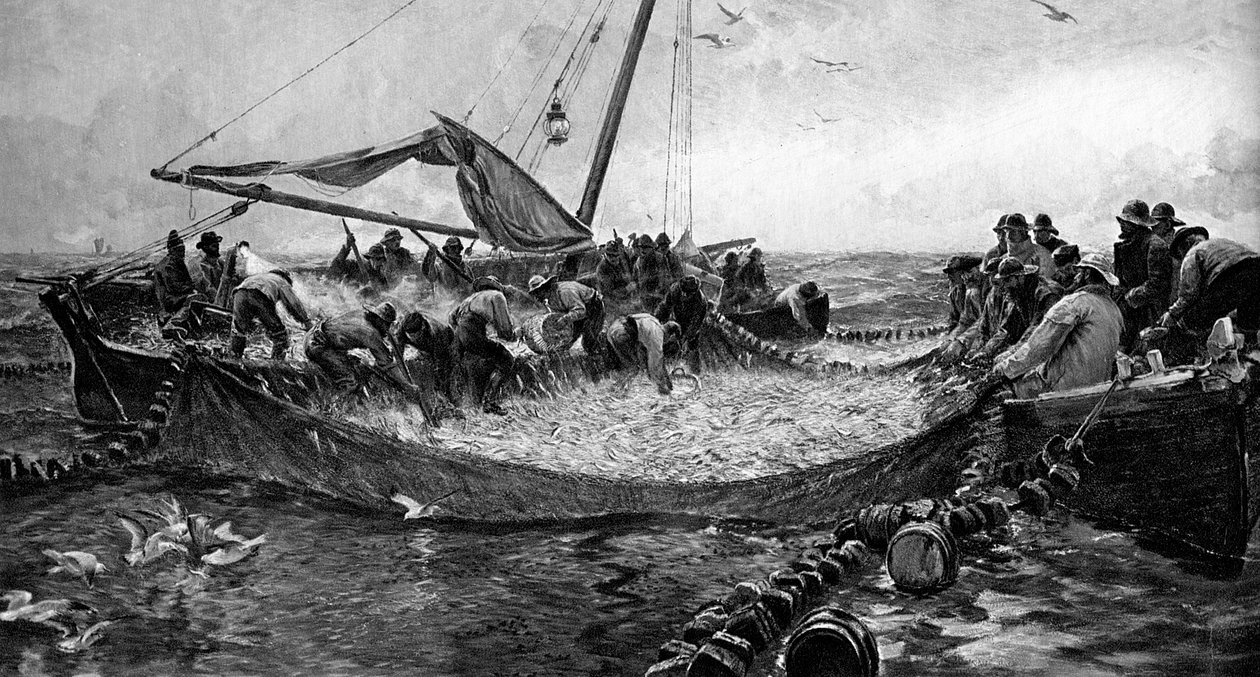 بيلشاردز ، 1900 بواسطة غير معروف