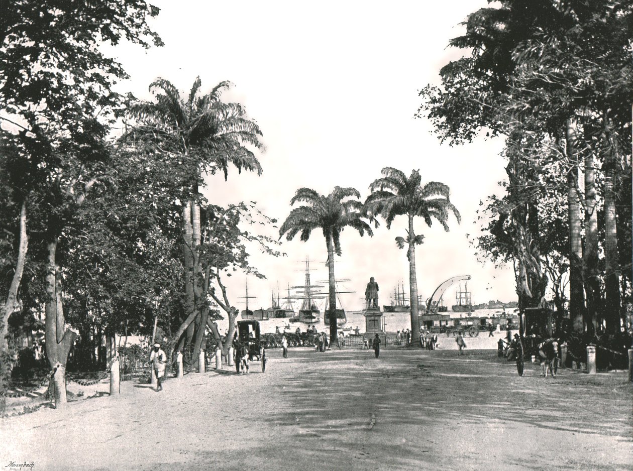 Place dArmes ، بورت لويس ، موريشيوس ، 1895. بواسطة غير معروف