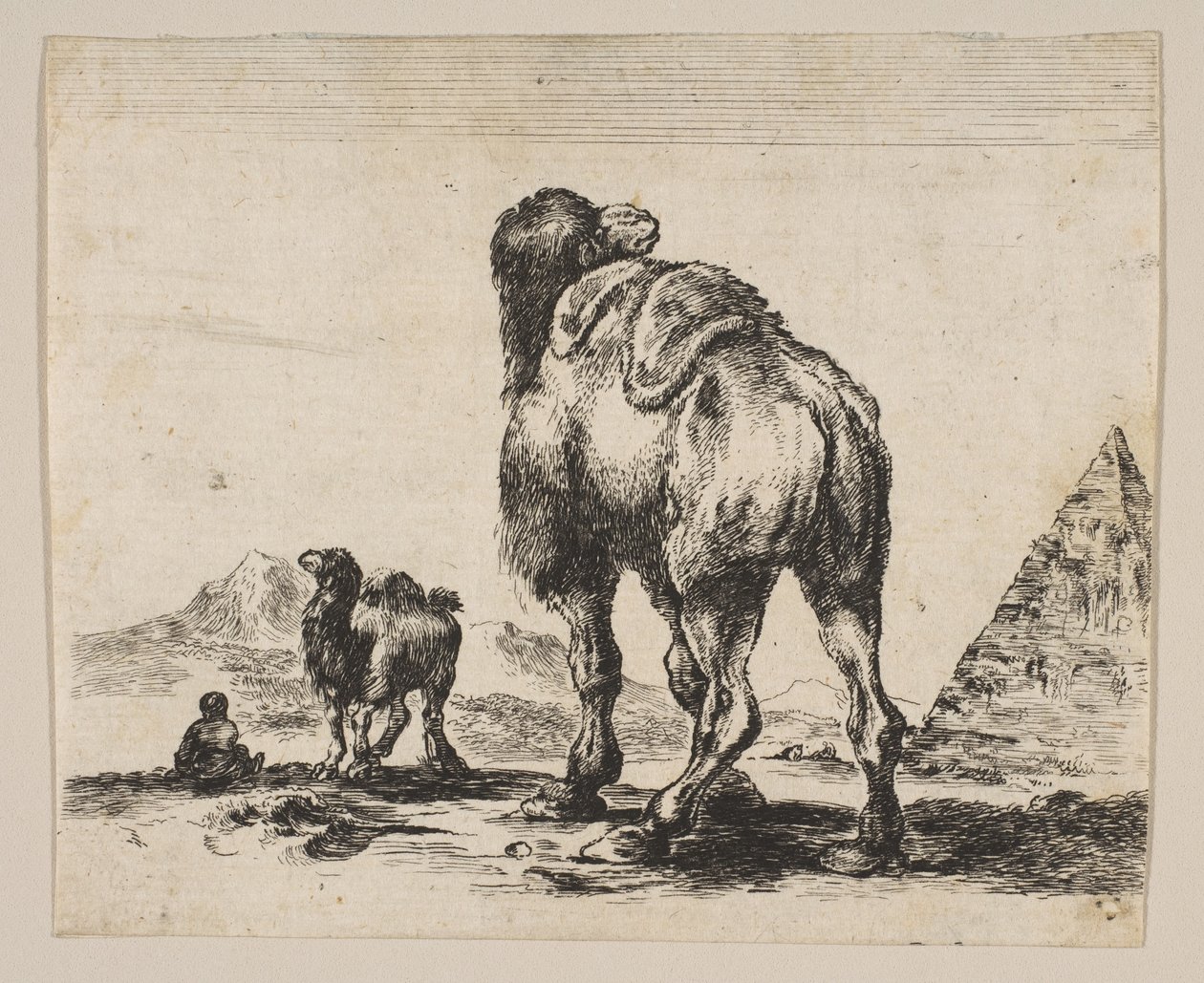 اللوحة 18: جمل ينظر إليه من الخلف مع هرم على اليمين ، من مختلف الحيوانات دي ... ، بعد عام 1641. بواسطة غير معروف