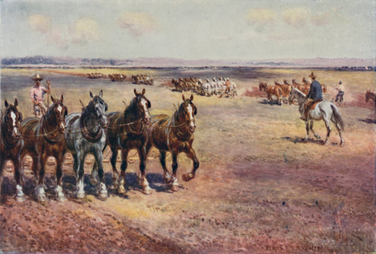 الحرث على نطاق واسع ، 1923. بواسطة غير معروف
