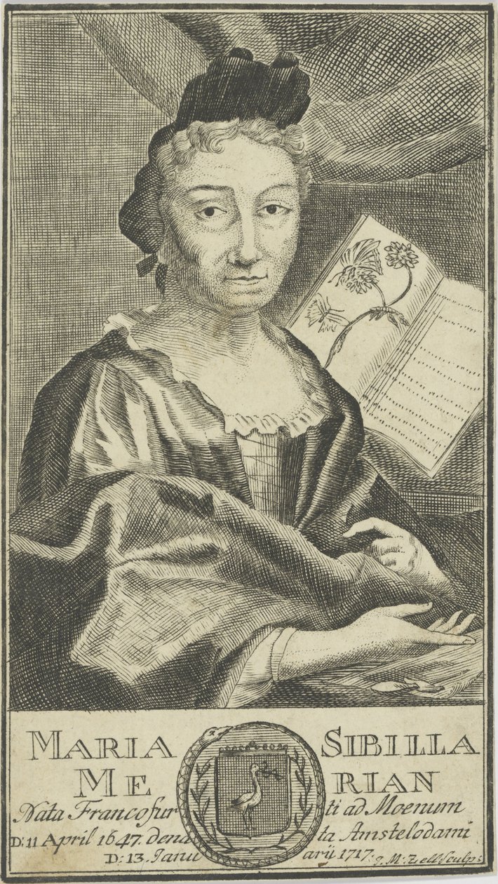 صورة ماريا سيبيلا ميريان 1647-1717 ، 1755. بواسطة غير معروف
