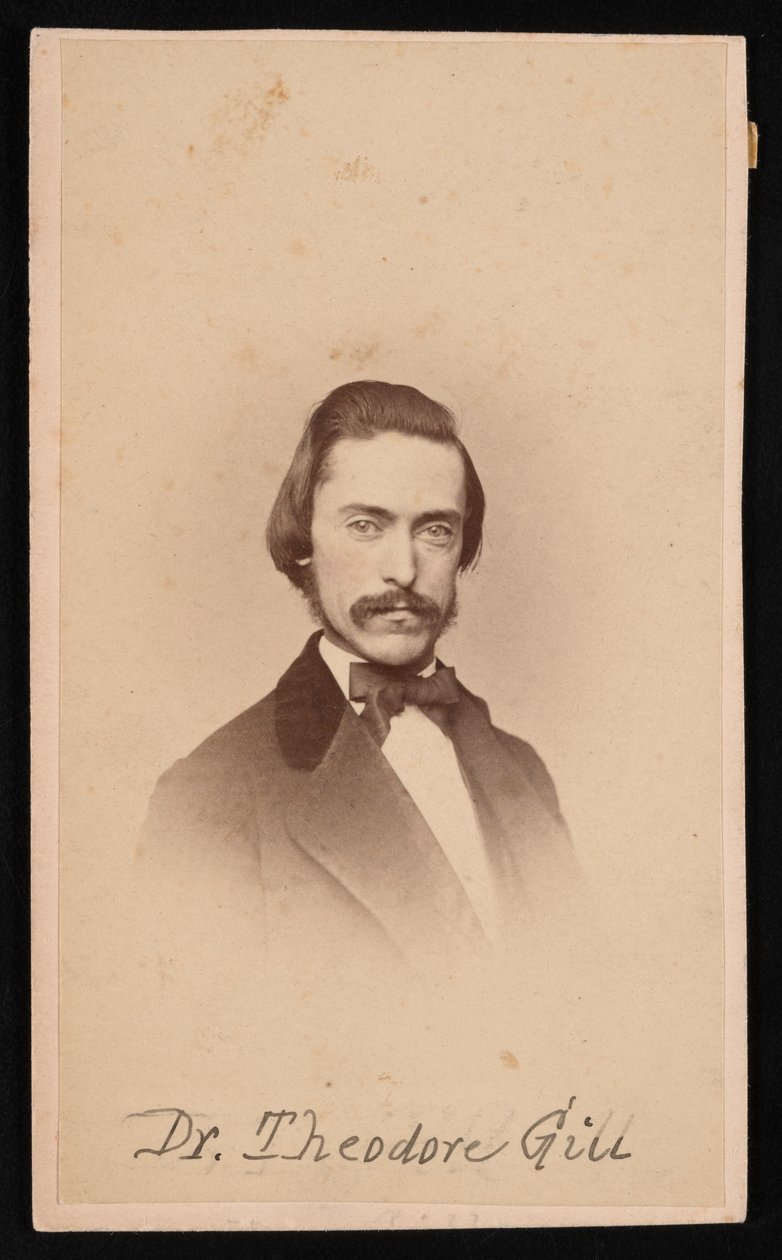 صورة لثيودور نيكولاس جيل 1837-1914 ، حوالي 1860. بواسطة غير معروف