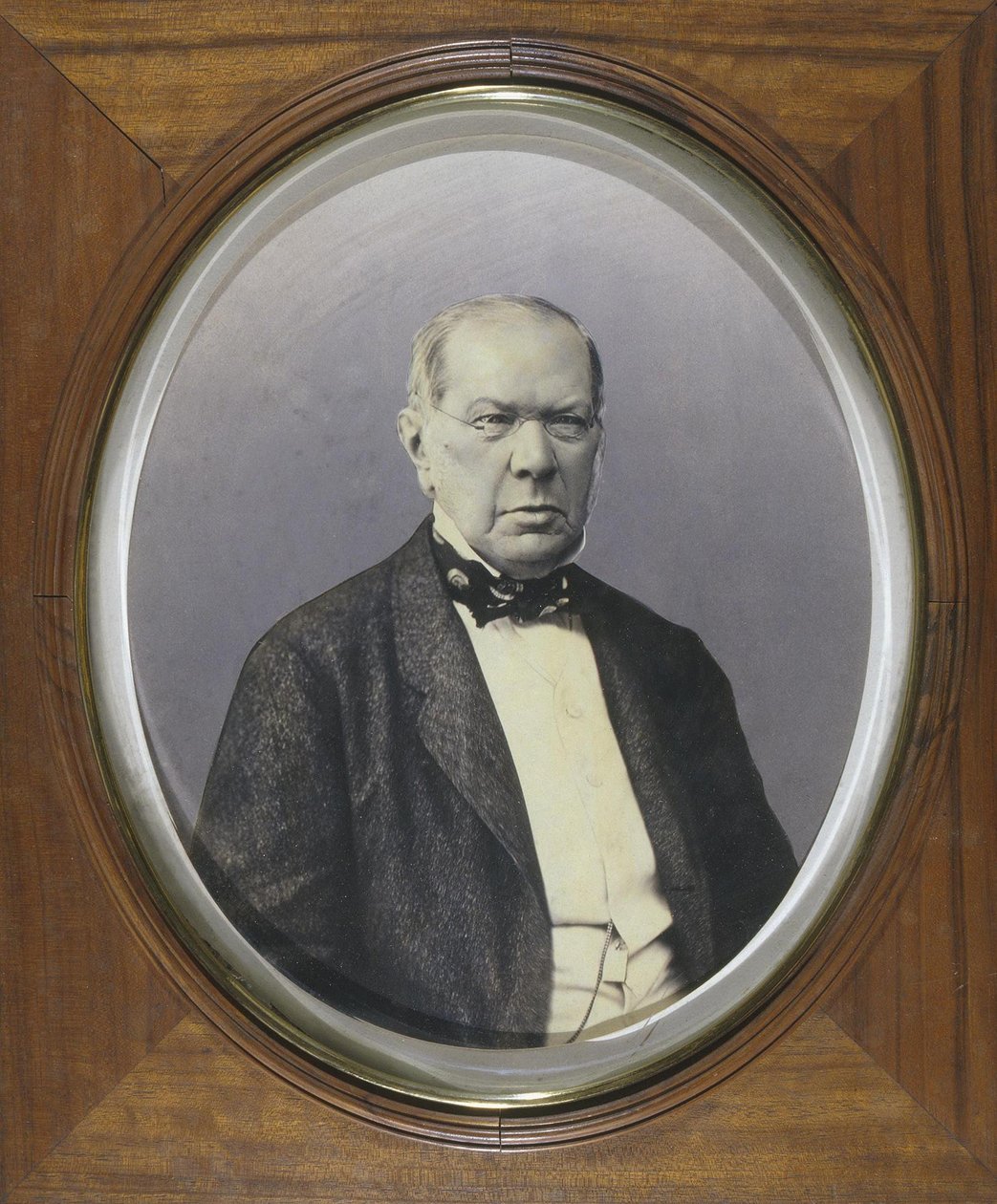 صورة للشاعر الأمير بيوتر أ. فيازيمسكي 1792-1878 ، 1860 - 1870 بواسطة غير معروف