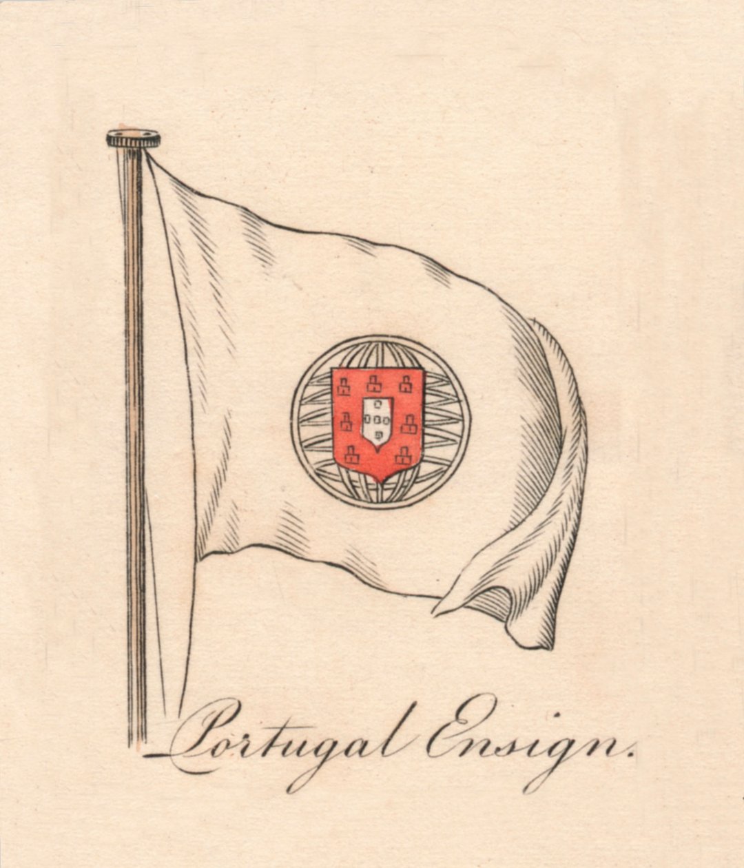 البرتغال انساين ، 1838 بواسطة غير معروف