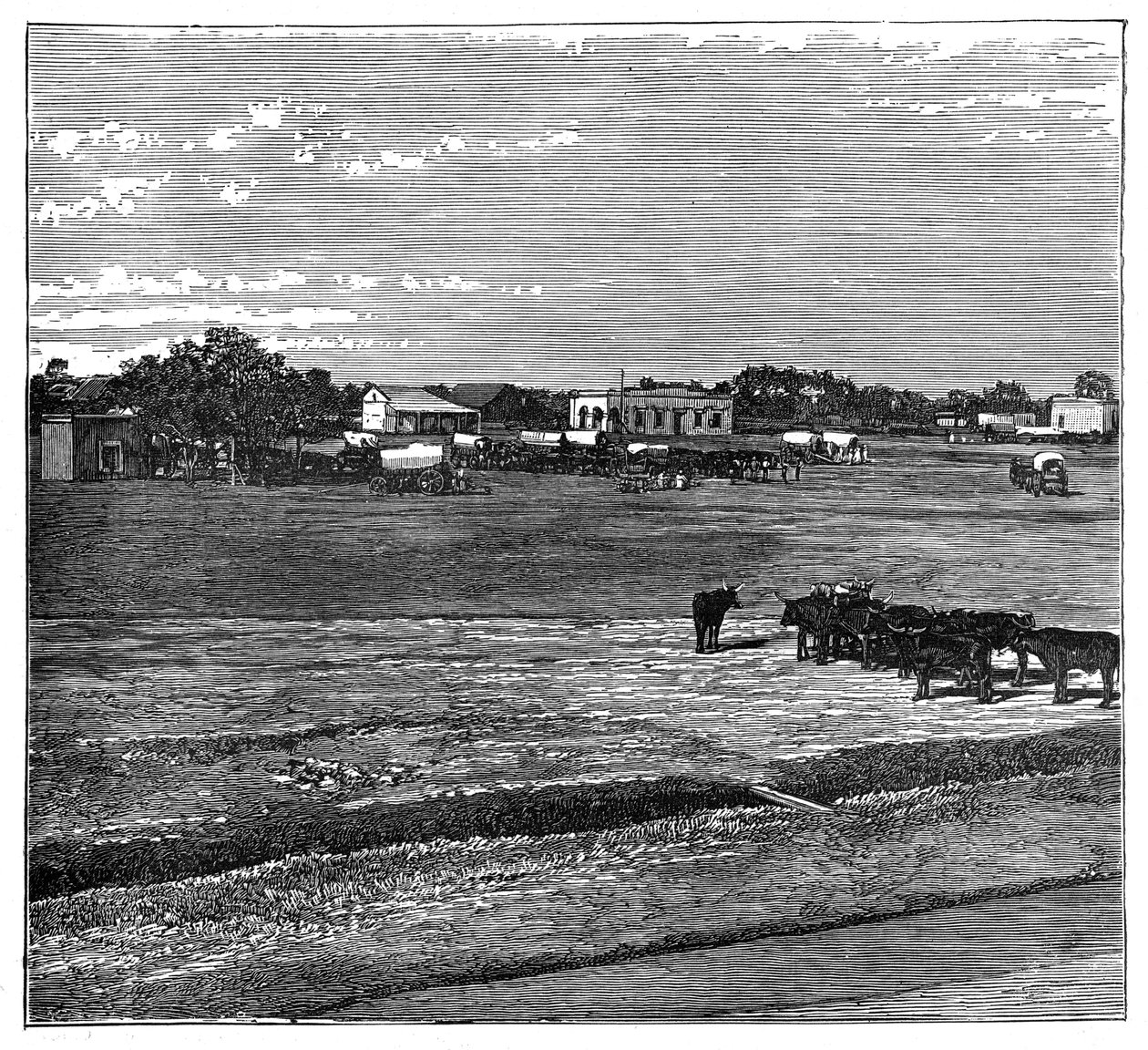 Potchefstroom ، ترانسفال ، جنوب أفريقيا ، c1890 بواسطة غير معروف