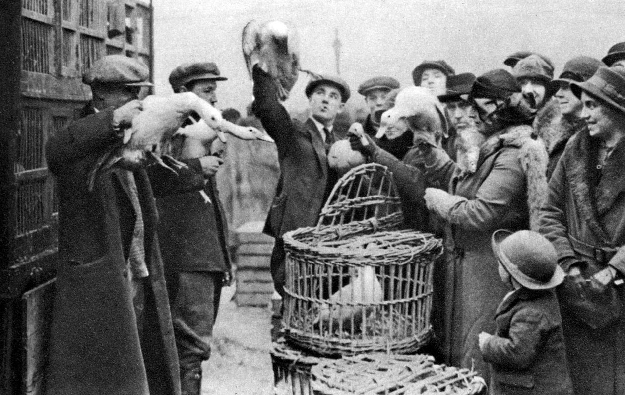 تجار الدواجن ، سوق كاليدونيان ، لندن ، 1926-1927 بواسطة غير معروف