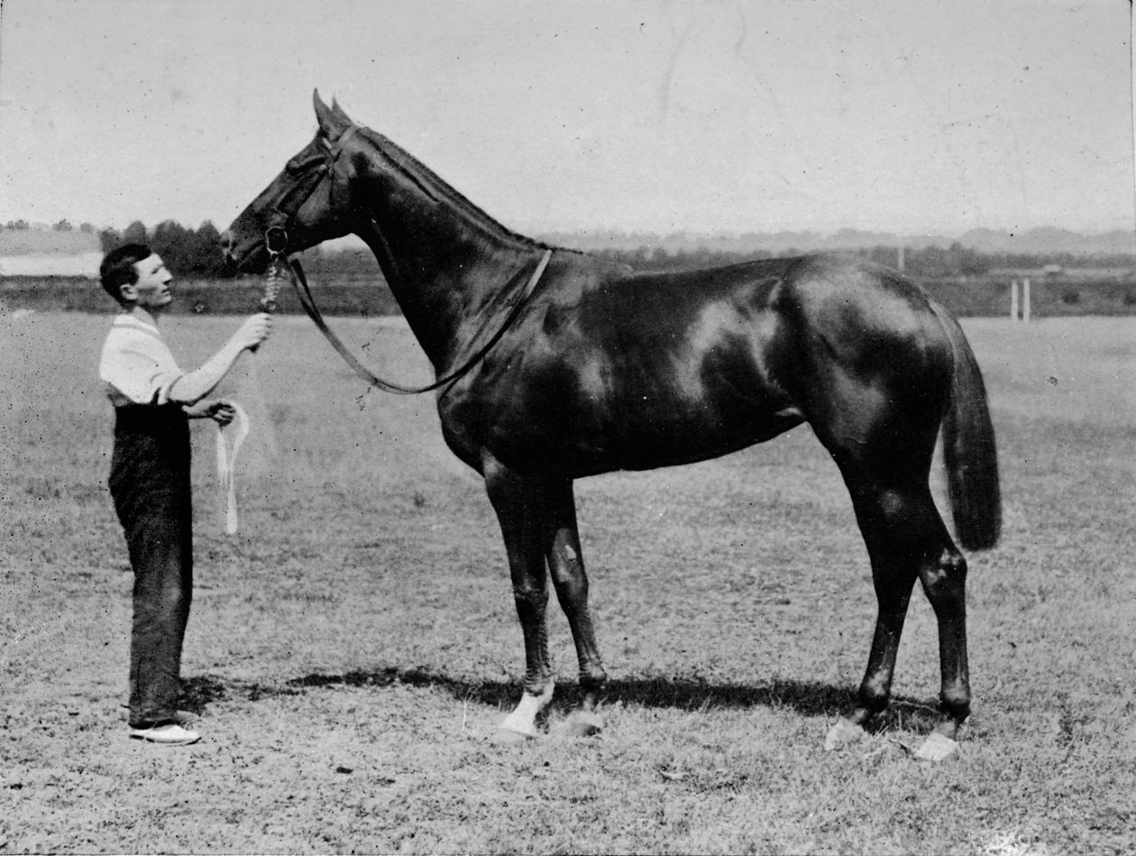 بريتي بولي ، 1901-1931 ، 1911 بواسطة غير معروف