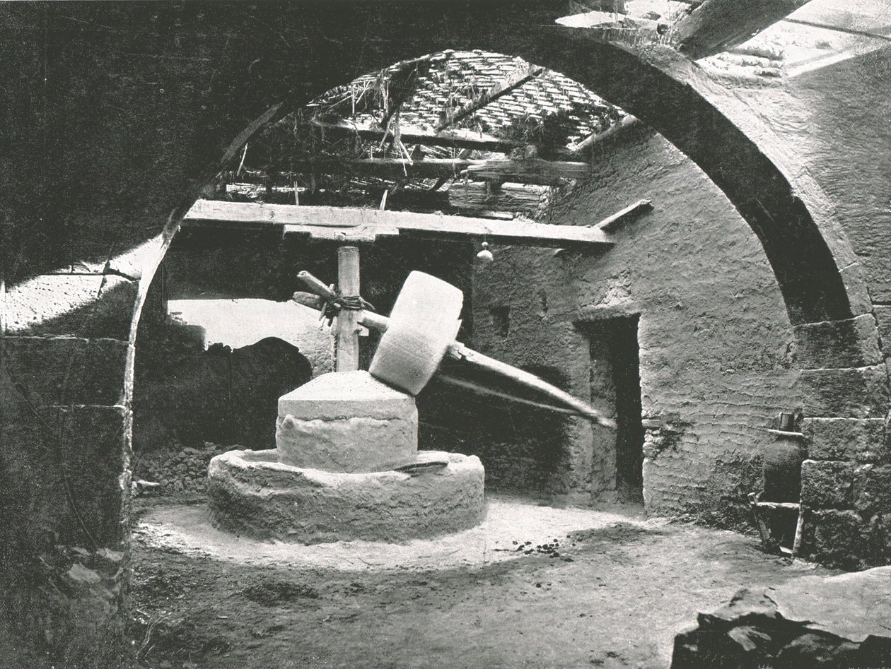 مطحنة الذرة البدائية ، دلتا النيل ، مصر ، 1895. بواسطة غير معروف