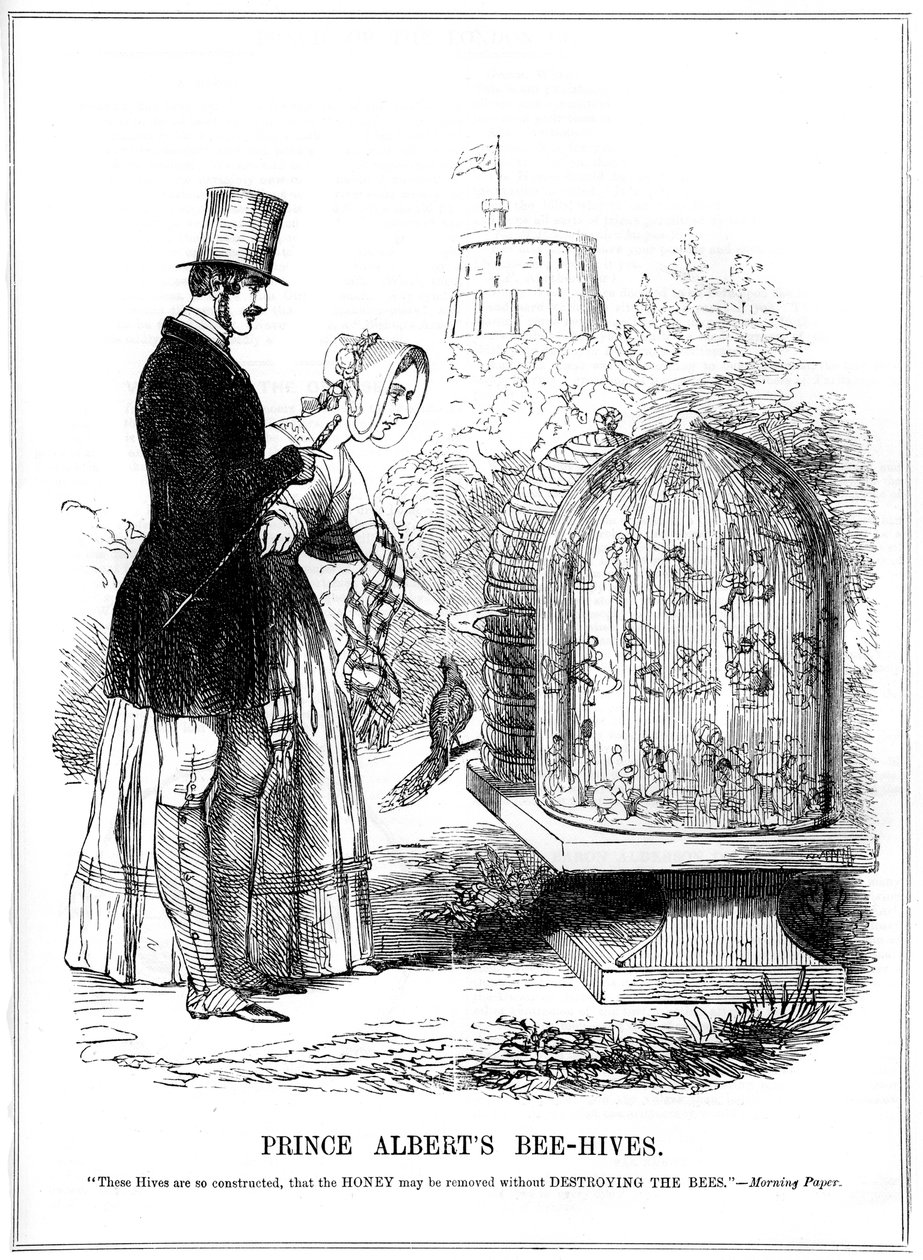 الأمير ألبرتس بي هيفز ، 1843 بواسطة غير معروف