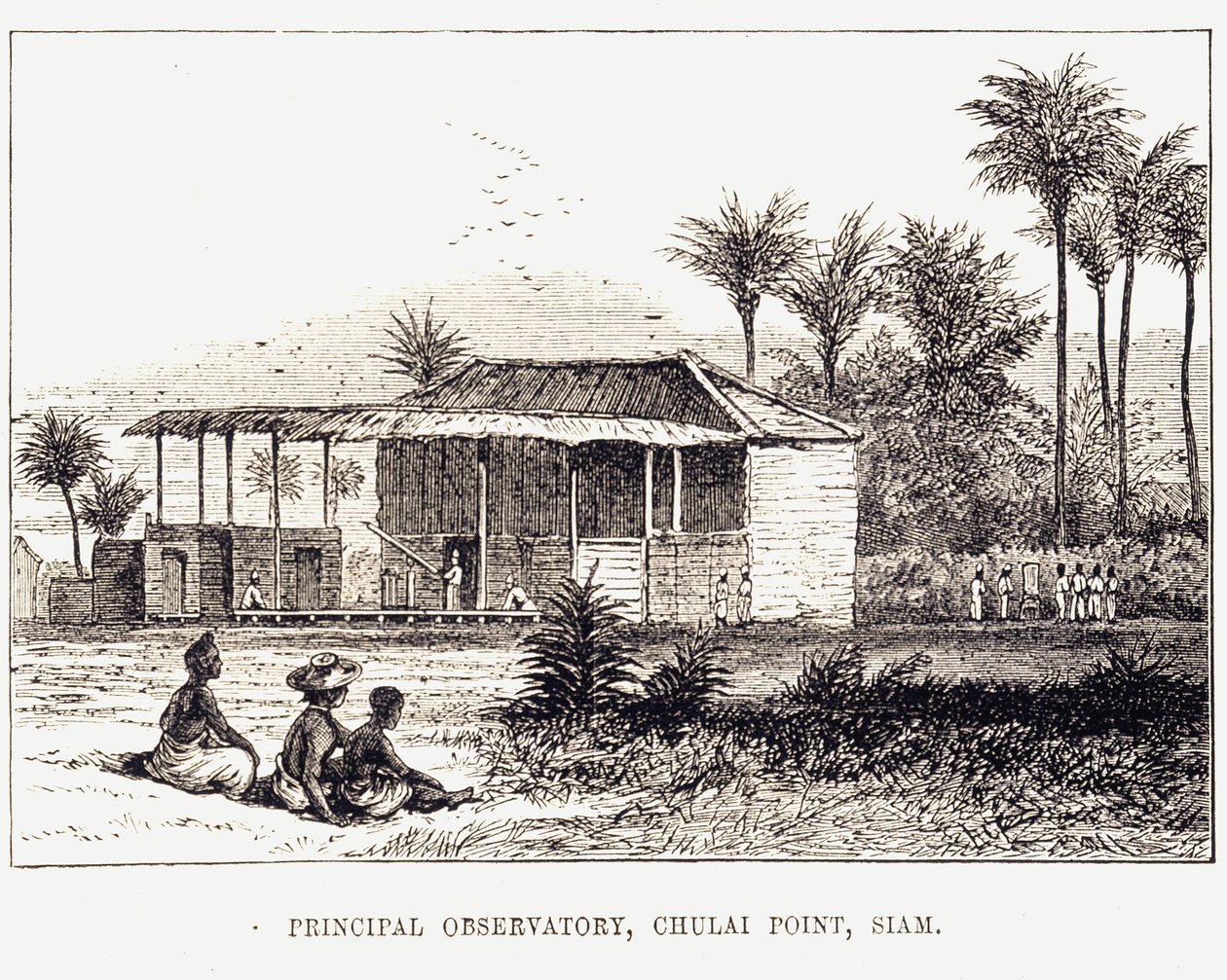 المرصد الرئيسي ، صيام ، 1875 بواسطة غير معروف