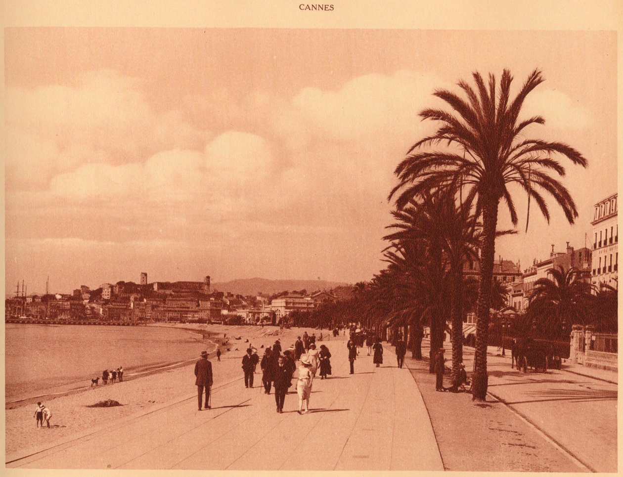 Promenade de la Croisette and Mont Chevalier ، كان ، 1930. بواسطة غير معروف