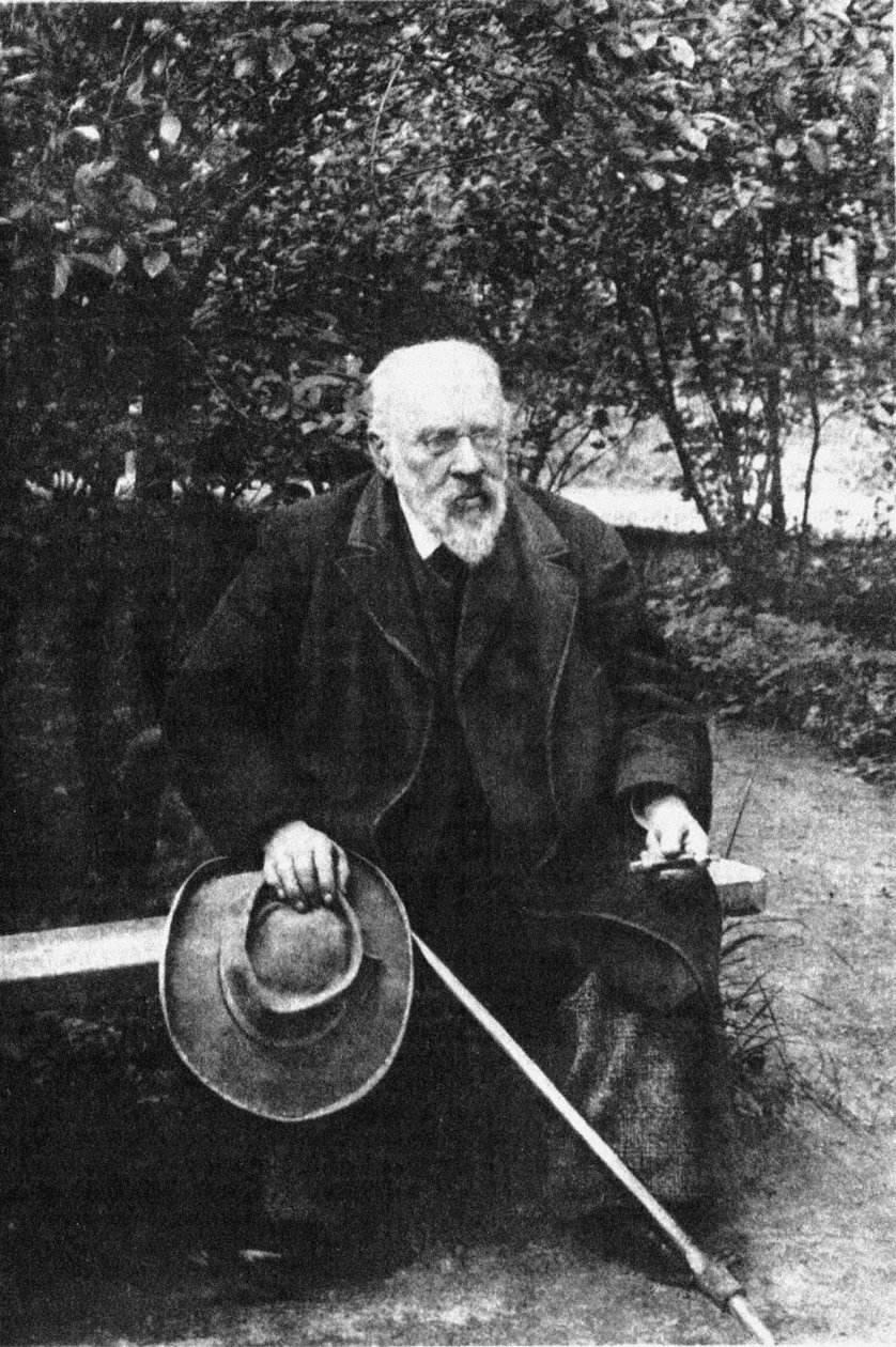 Pyotr Ivanovich Bartenev 1829-1912 ، 1900s بواسطة غير معروف