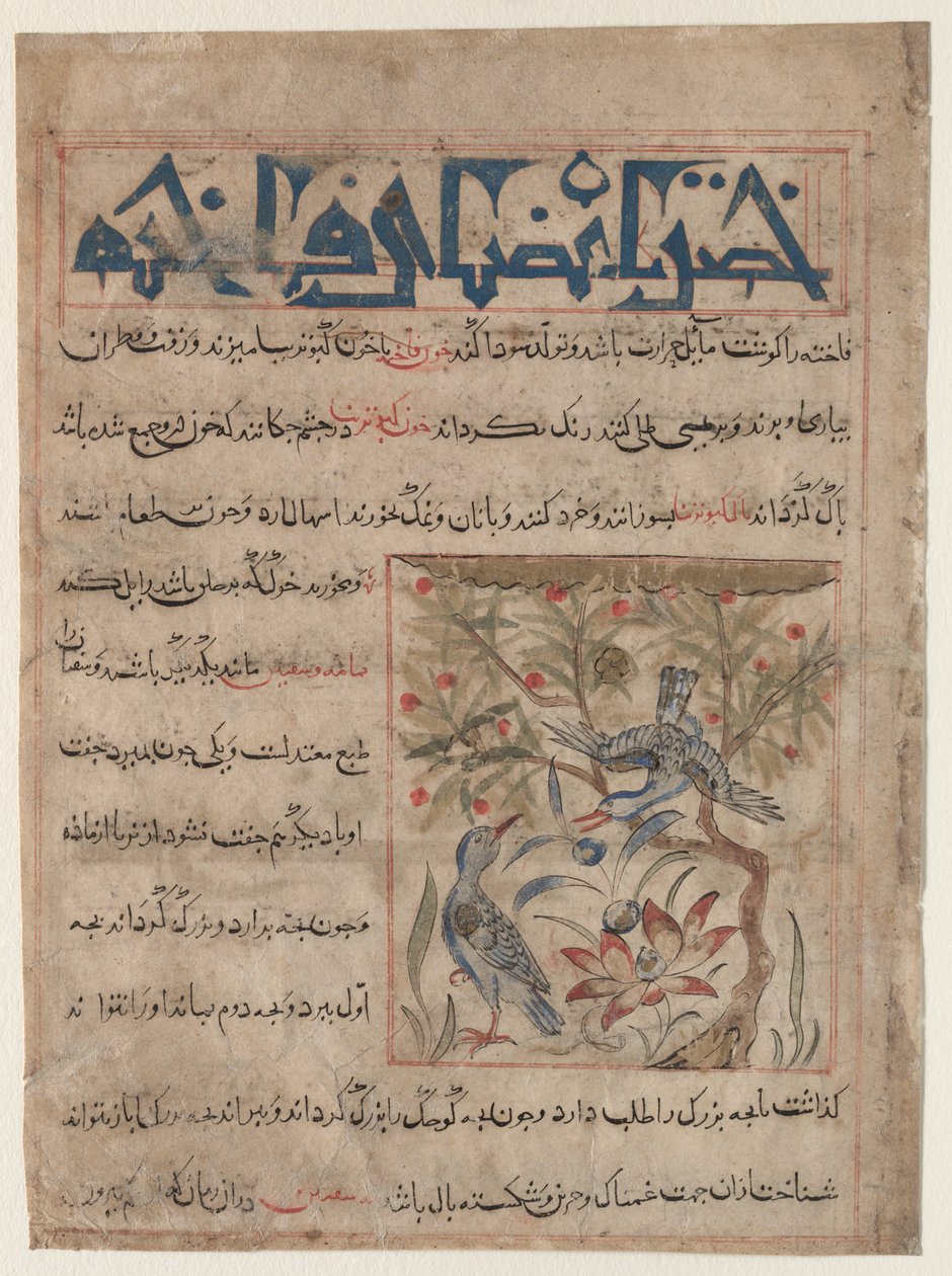 صفات Ringdoves المستقيم ، على فوائد السمان مقابل ... ، ج. 1300. بواسطة غير معروف