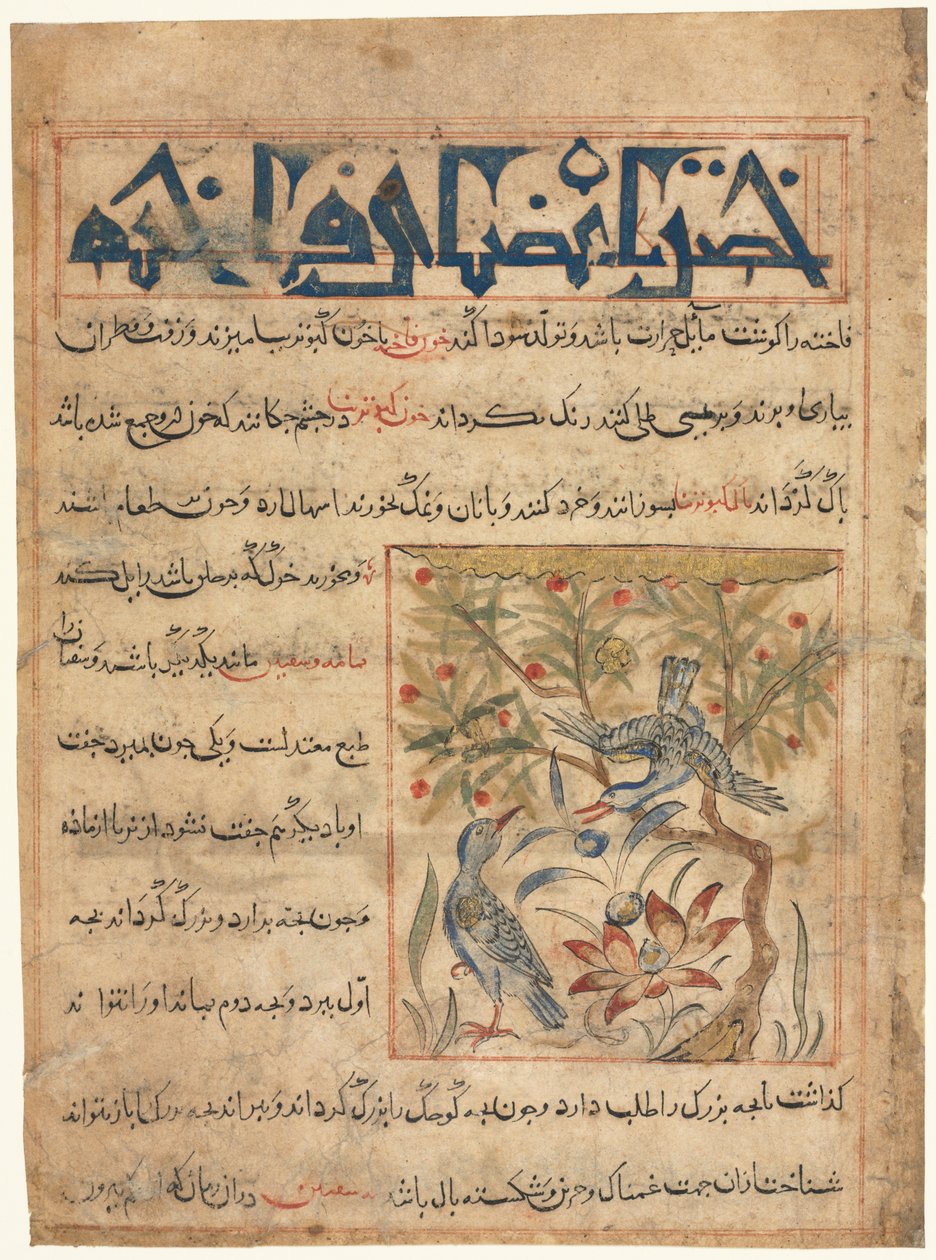 صفات الخواتم من المنافي الحيوان على فائدة الحيوانات ، ج. 1300. بواسطة غير معروف