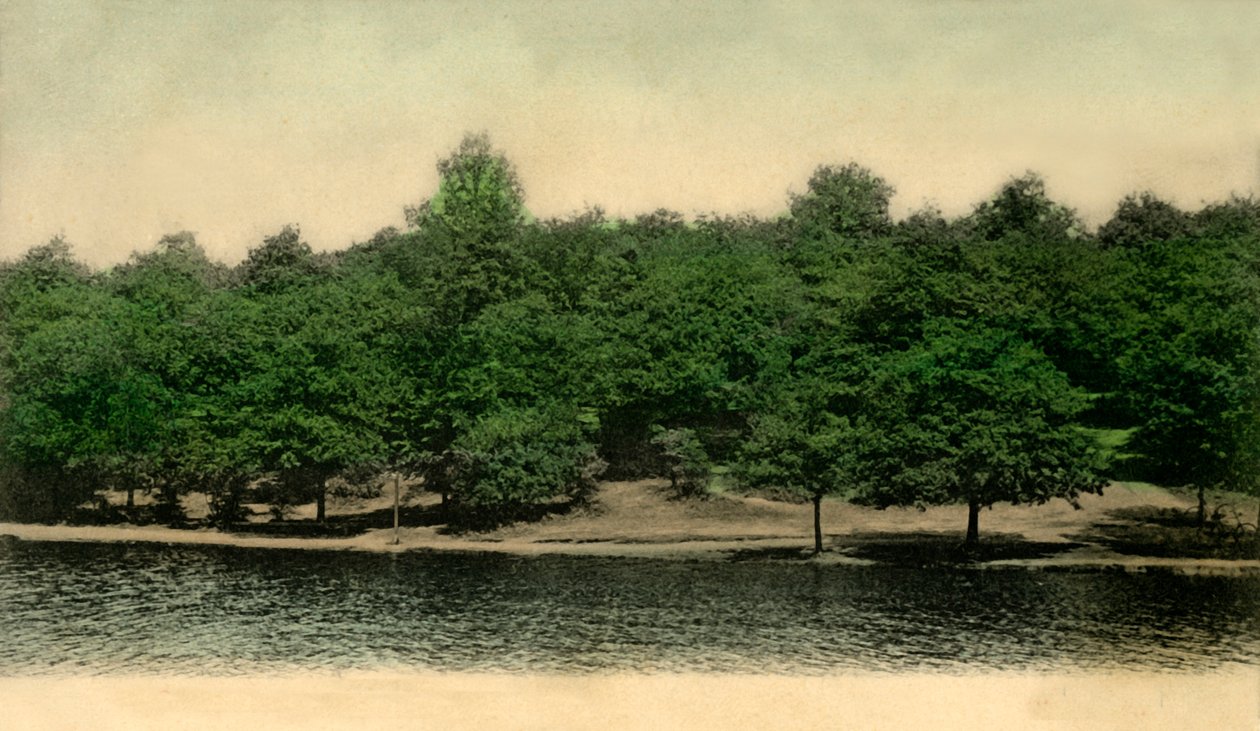Queensmere ، ويمبلدون كومون ، لندن ، 1903. بواسطة غير معروف