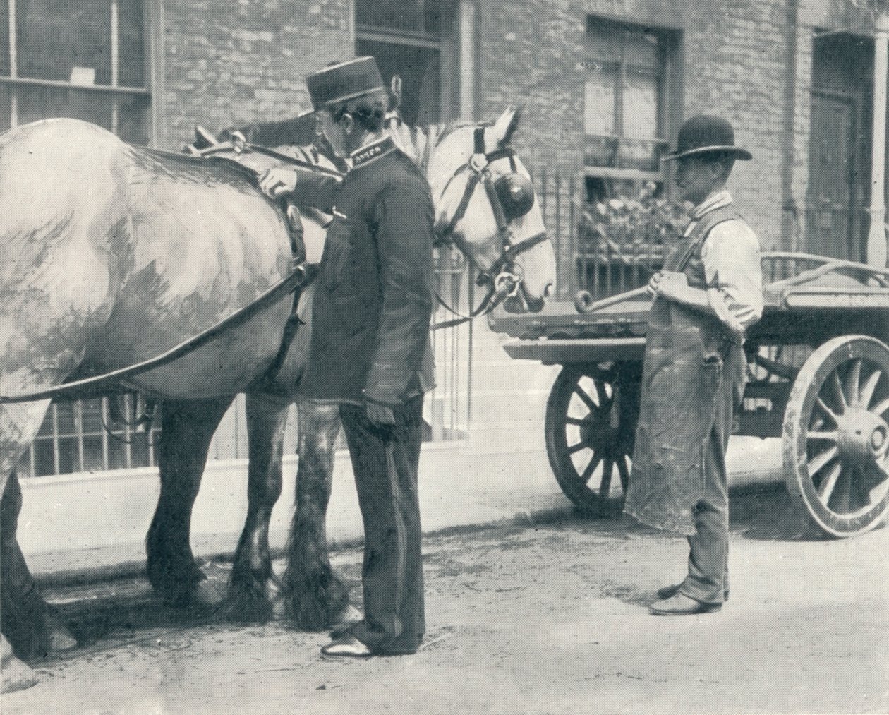 مفتش RSPCA يفحص حصانًا ، c1903 1903 بواسطة غير معروف