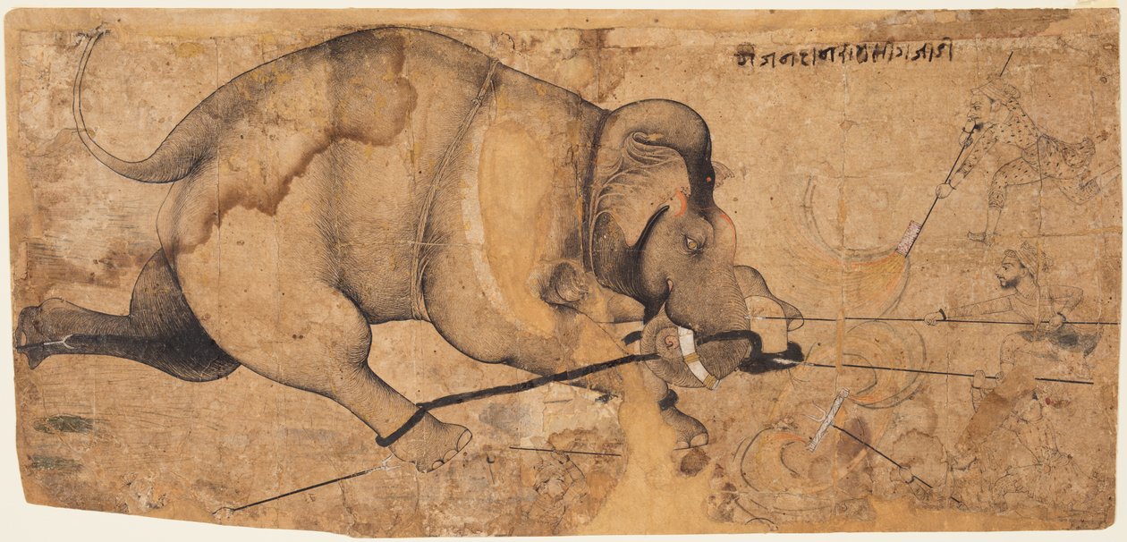 راو رام سينجز الفيل ذهب أموك ، ج. 1700. بواسطة غير معروف
