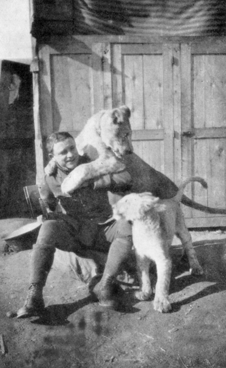 راؤول لوفبيري ، طيار مقاتل فرنسي أمريكي وآس طائر في الحرب العالمية الأولى ، 1917 بواسطة غير معروف