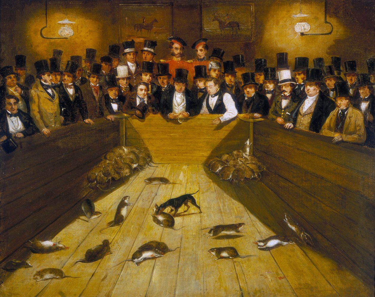 "اصطياد الفئران في Blue Anchor Tavern ، Bunhill Row ، Finsbury" ، c1850 بواسطة غير معروف