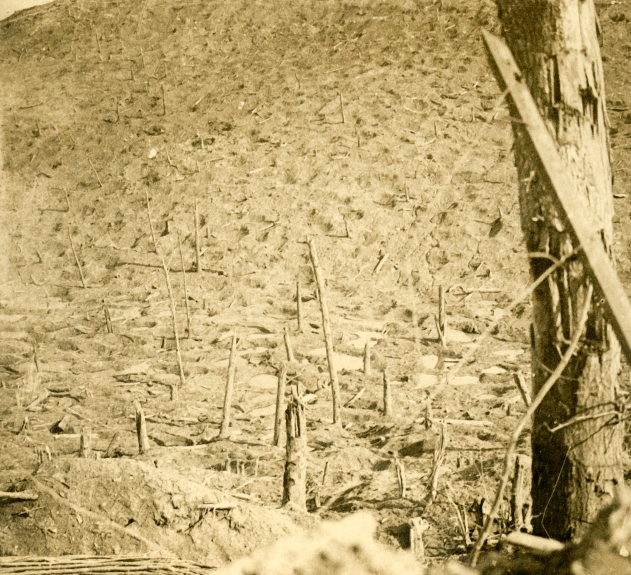 واد في Les Éparges ، شمال فرنسا ، c1914-c1918. بواسطة غير معروف