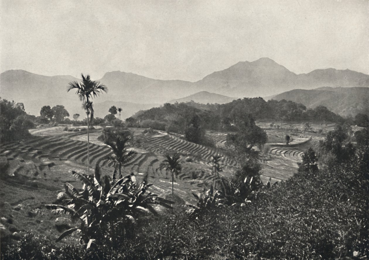 مجال السفر في مرسى Terrasen ، 1926 بواسطة غير معروف