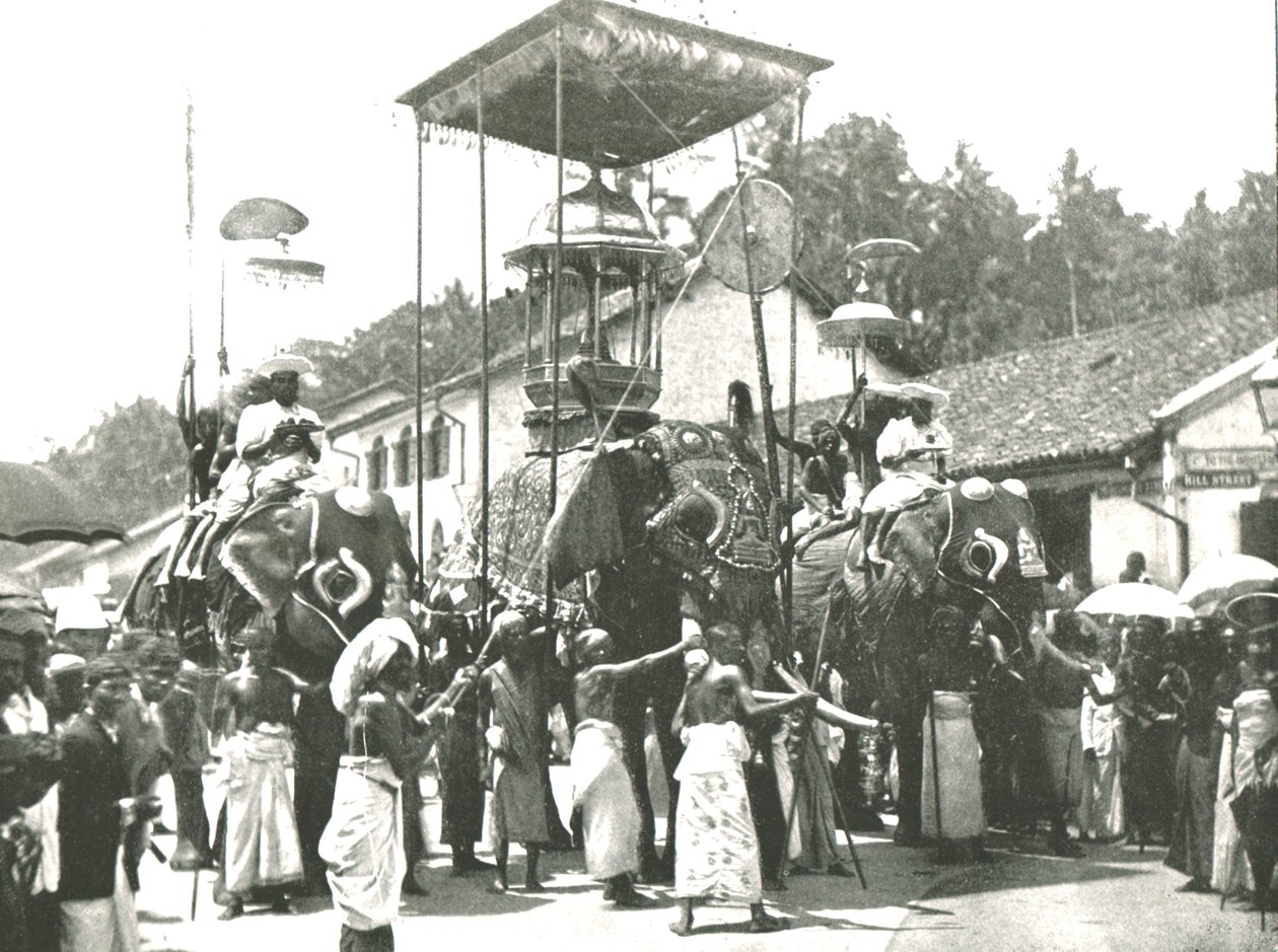 موكب ديني ، كولومبو ، سيلان ، 1895. بواسطة غير معروف