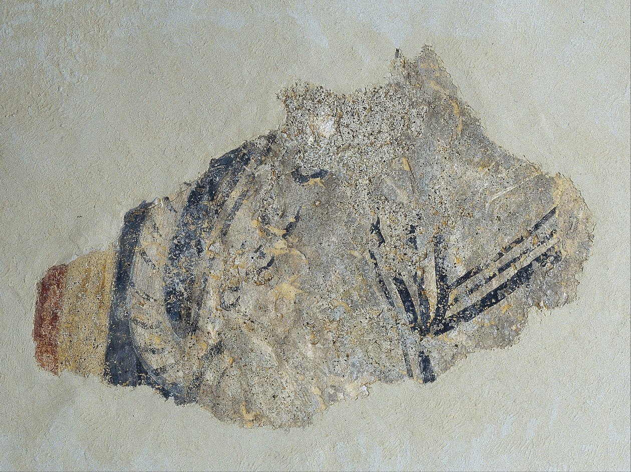 بقايا رباعي الأرجل من سانت جوان دي بوي بواسطة غير معروف