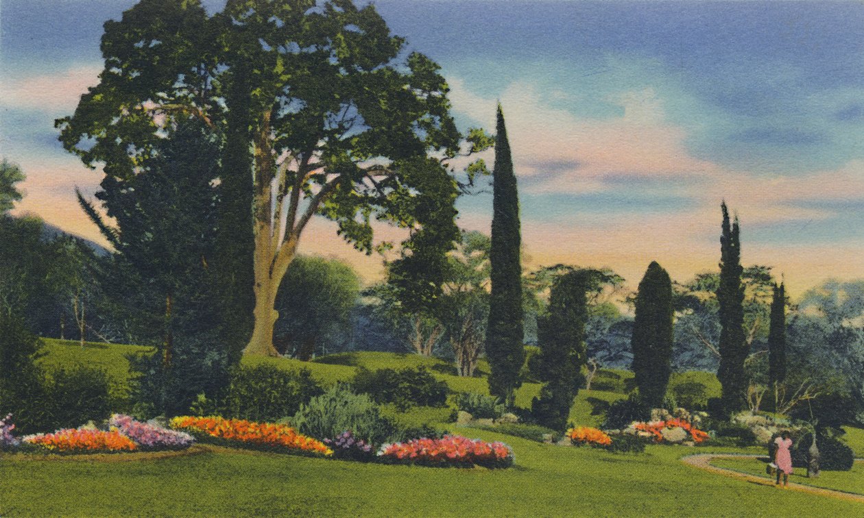 Rock Garden ، ترينيداد ، BWI ، c1940s. بواسطة غير معروف