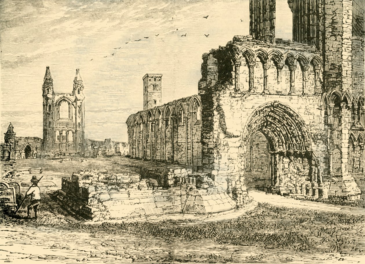 أطلال الكاتدرائية ، سانت أندروز ، 1890. بواسطة غير معروف