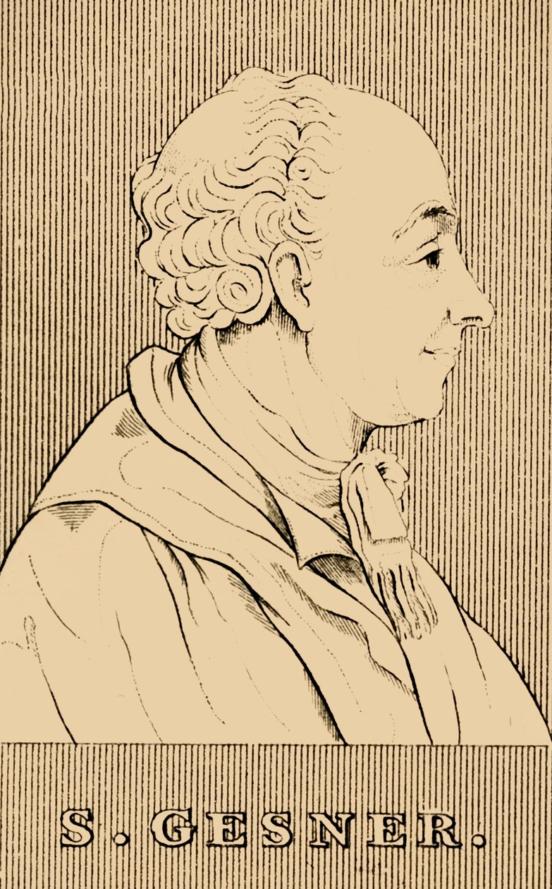 جيسنر ، 1730-1788 ، 1830. بواسطة غير معروف