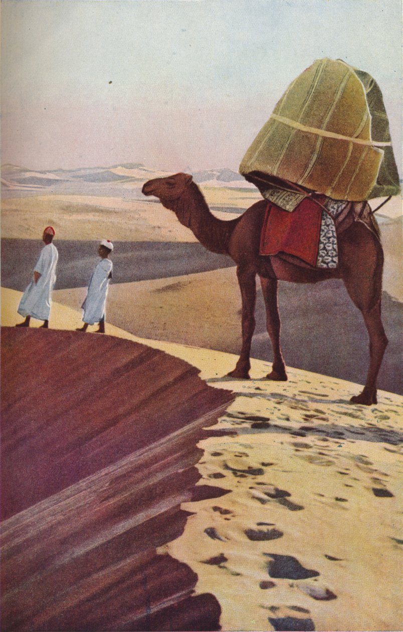 الصحراء ، ج .3030s بواسطة غير معروف