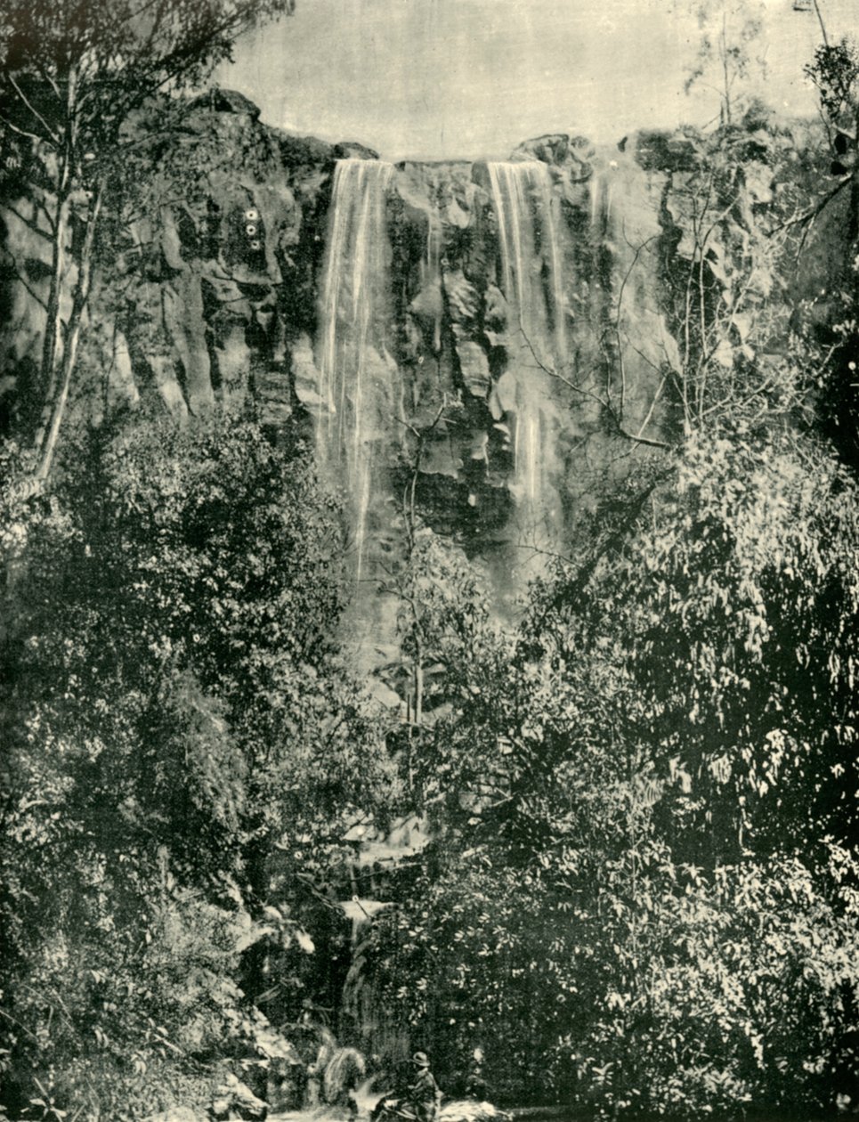 Sailors Creek Falls ، Daylesford ، 1901. بواسطة غير معروف