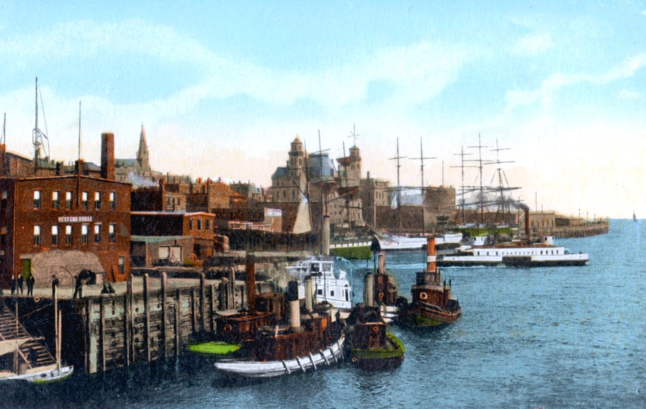 ميناء سانت جون ، سانت جون ، نيو برونزويك ، كندا ، c1900s بواسطة غير معروف