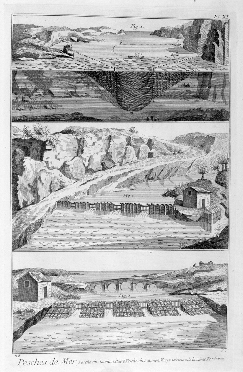 صيد سمك السلمون ، 1751-1777 بواسطة غير معروف