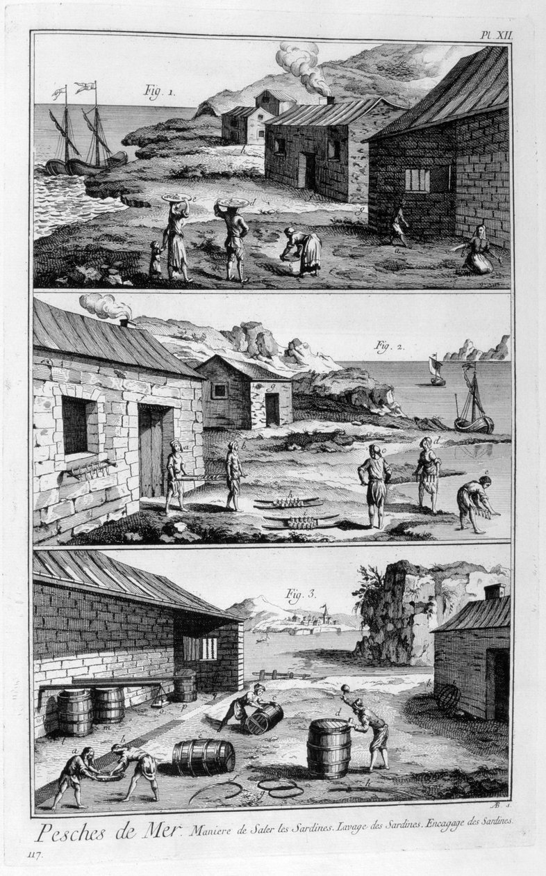 التمليح والغسيل وتعبئة السردين ، 1751-1777 بواسطة غير معروف