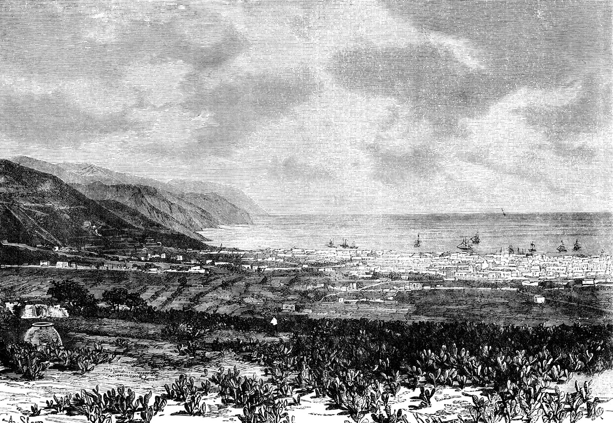 سانتا كروز ، تينيريفي ، إسبانيا ، 1895 بواسطة غير معروف