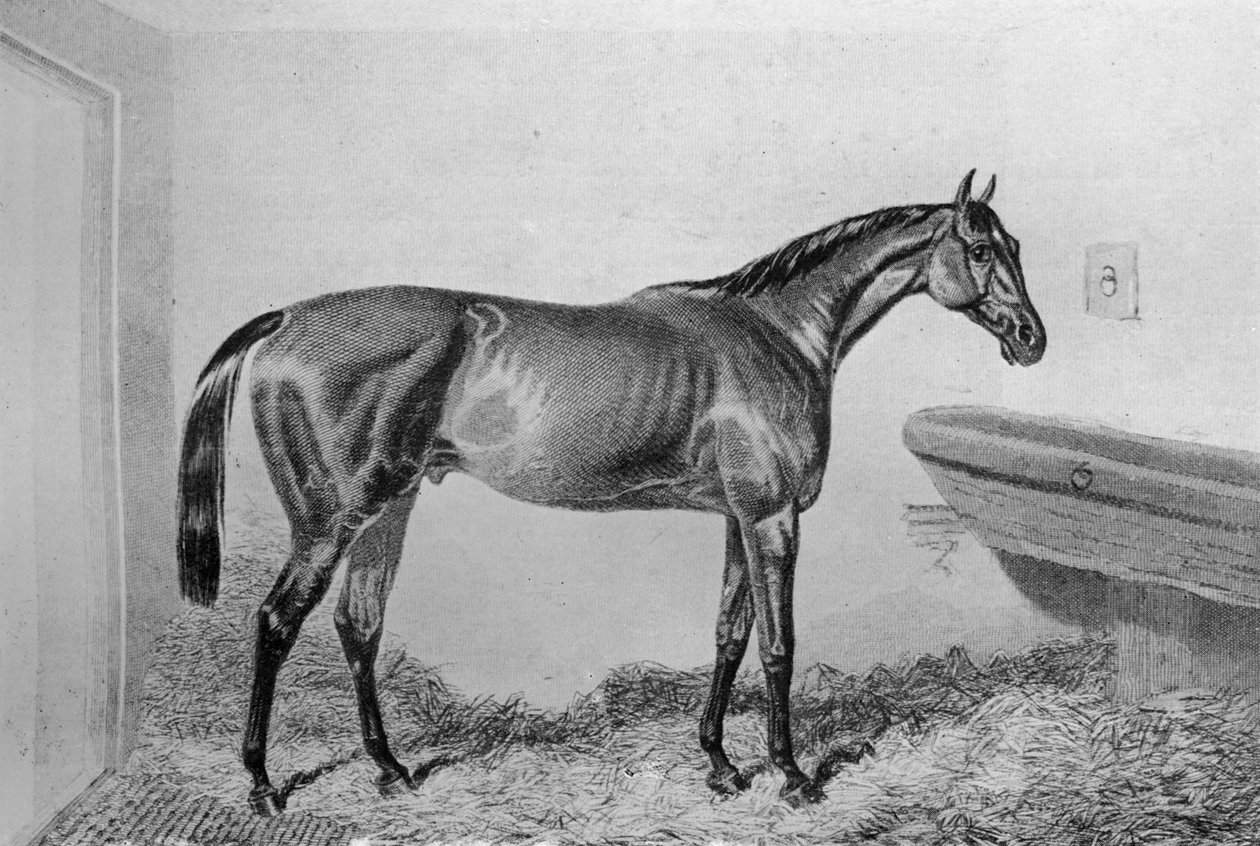 Saucebox ، c1840-1880 ، 1911 بواسطة غير معروف