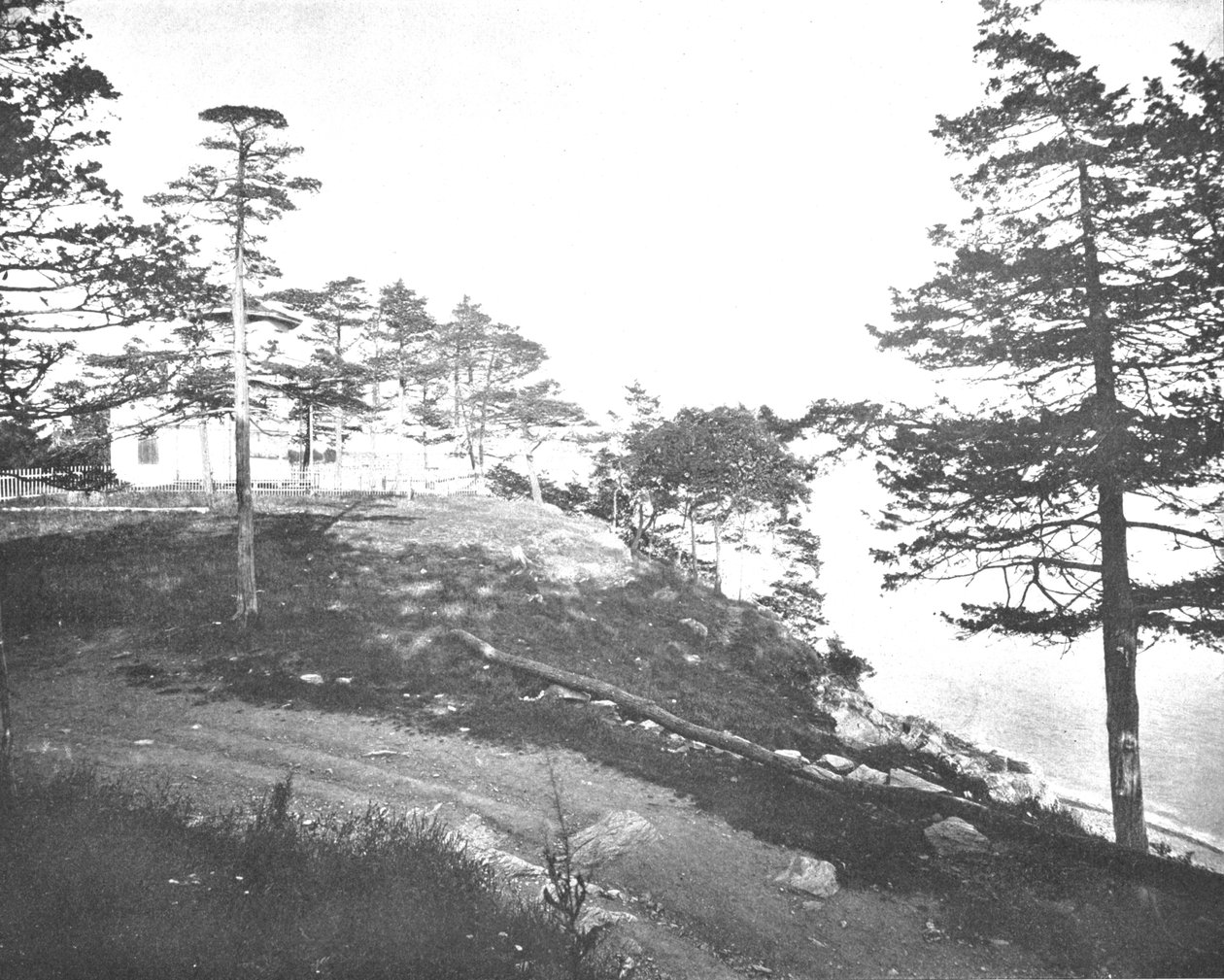 Savin Rock ، New Haven ، Connecticut ، USA ، c1900. بواسطة غير معروف