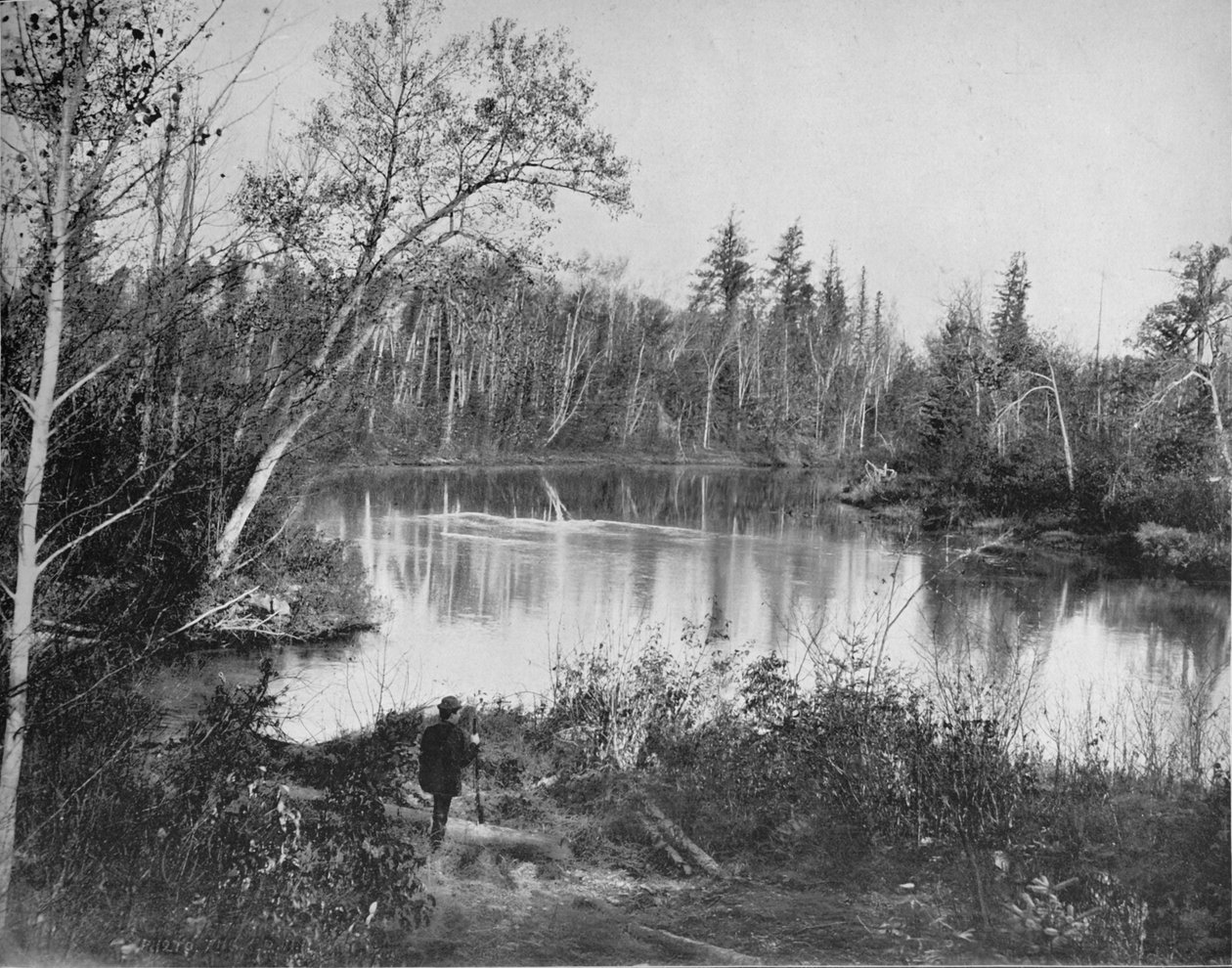 مشهد على نهر Peshtigo ، ويسكونسن ، c1897. بواسطة غير معروف