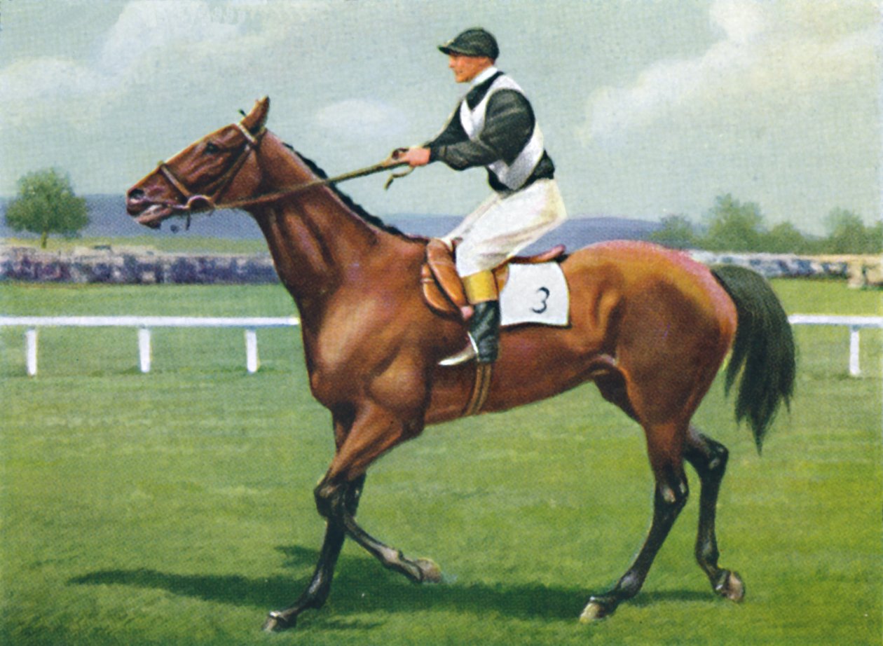 Shalfleet ، جوكي: R. Perryman ، 1939 بواسطة غير معروف