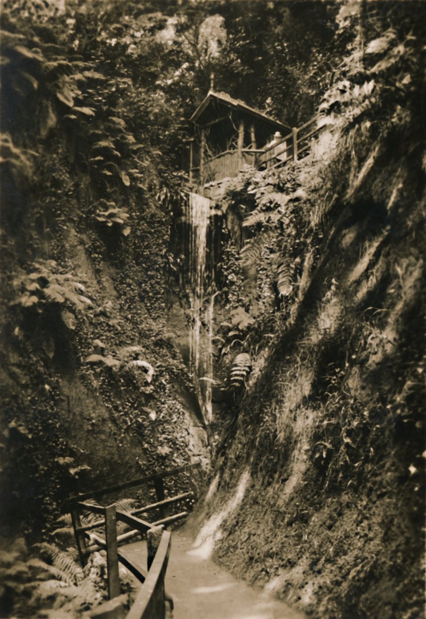 Shanklin Chine, I.W., c1920.  بواسطة غير معروف