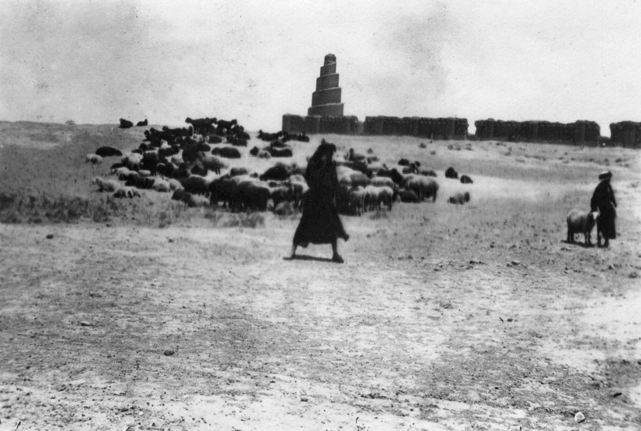 رعي الأغنام خارج سامراء ، بلاد ما بين النهرين ، 1918 بواسطة غير معروف