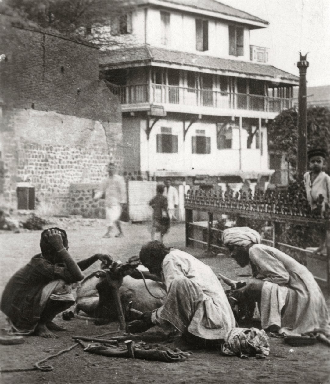 تزوير ثور ، الهند ، c1927-c1929 بواسطة غير معروف