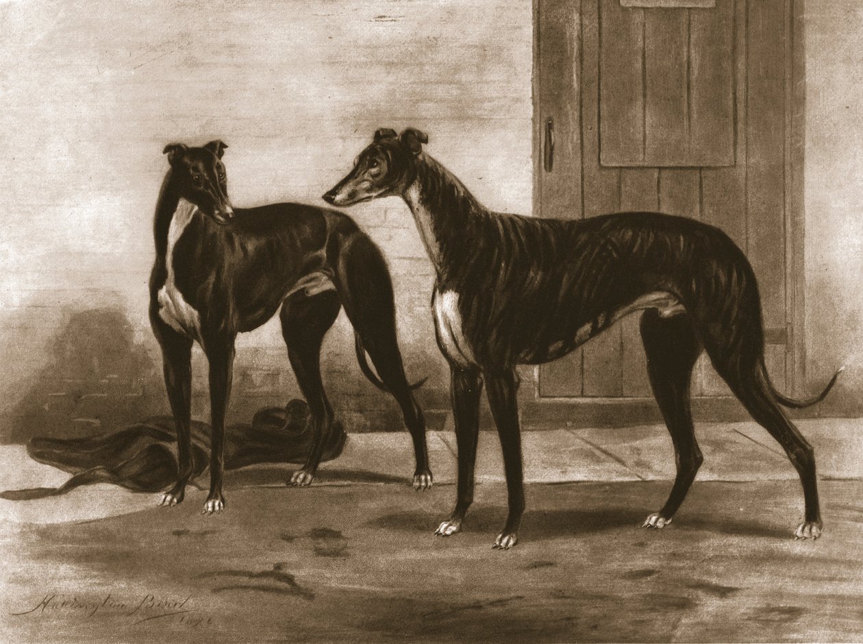 سيمونيان وفوليرتون ، c1891 ، 1911. بواسطة غير معروف