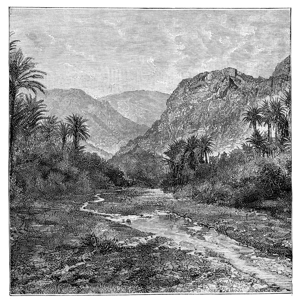 سيناء ، مصر ، 1895 بواسطة غير معروف