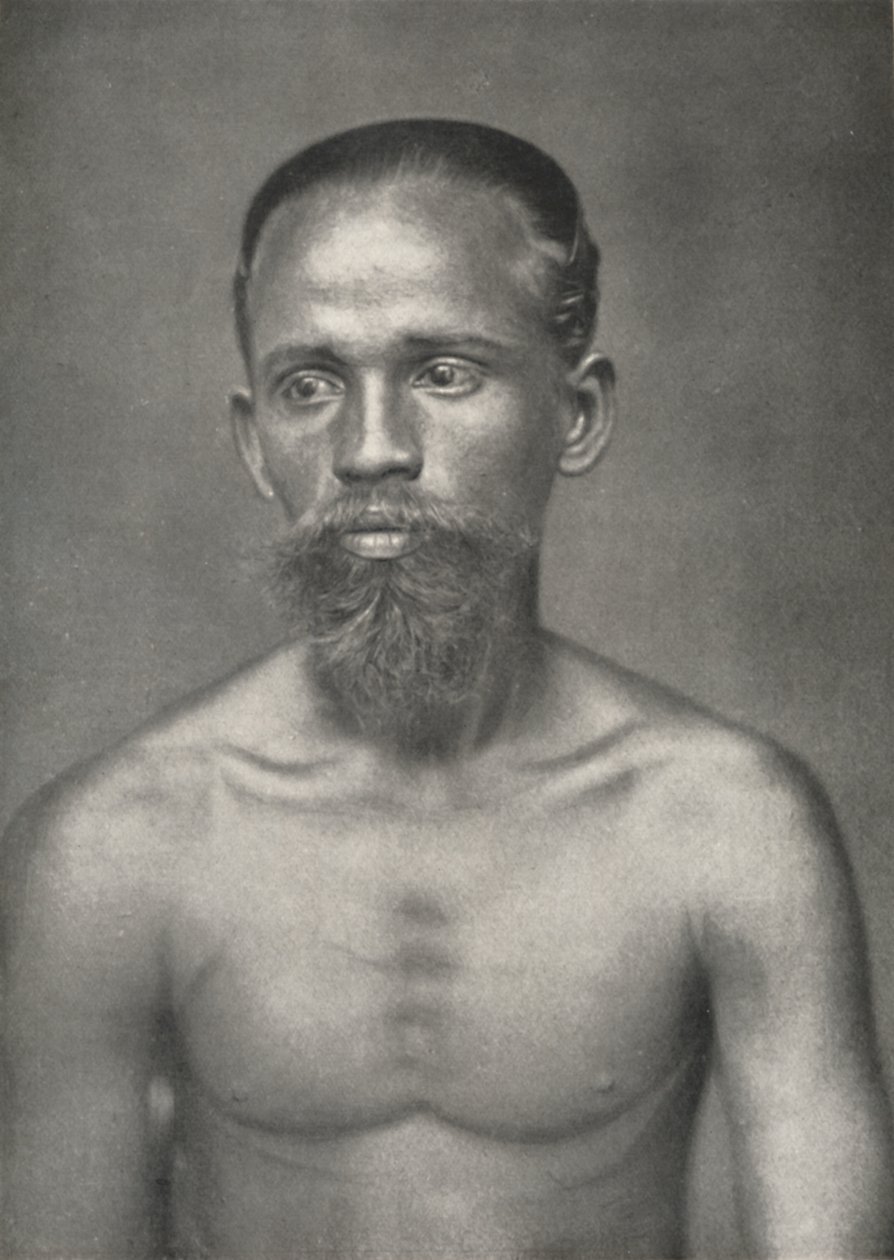 عامل من السنهالية من هولندا ، 1926 بواسطة غير معروف