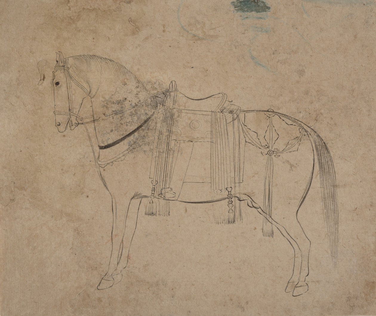 رسم تخطيطي لحصان ، أواخر القرن الثامن عشر. بواسطة غير معروف