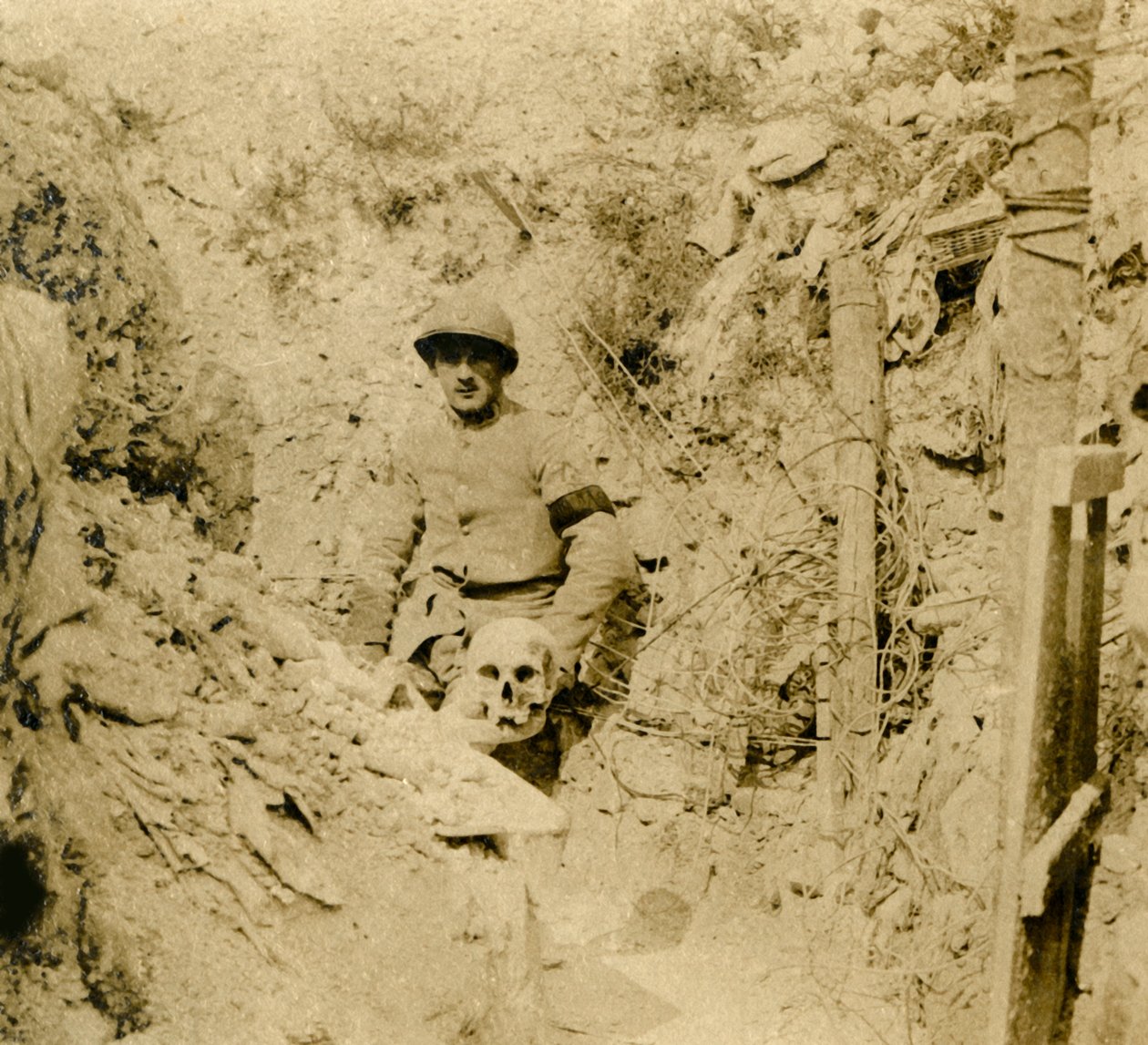 وجدت جمجمة مدفونة في الخنادق c1914-c1918 بواسطة غير معروف