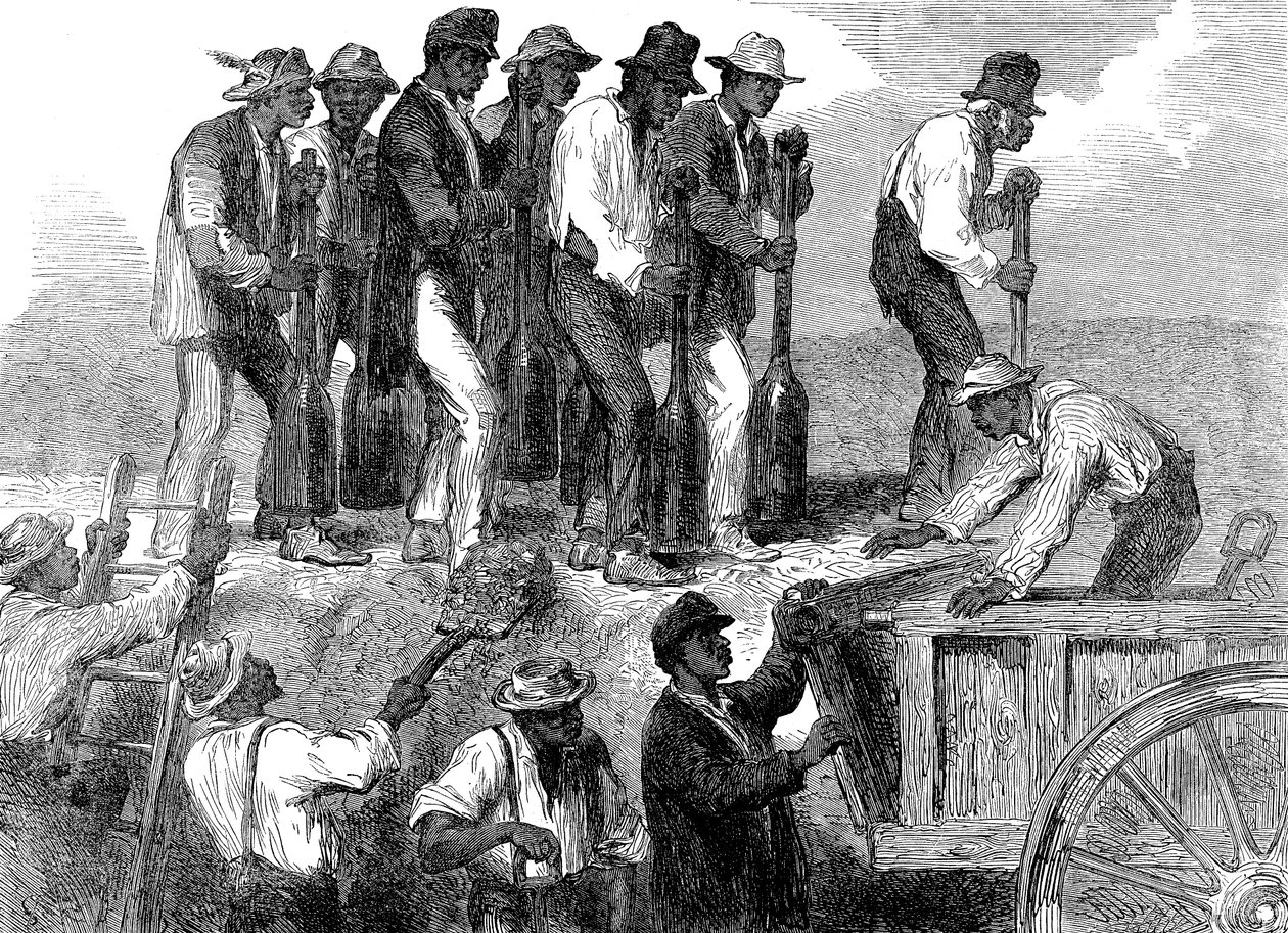 عمل العبيد يعزز تحصينات سافانا ، جورجيا ، الحرب الأهلية الأمريكية ، 1863 بواسطة غير معروف